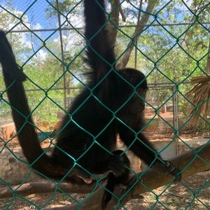 Meet your Posher, Larry